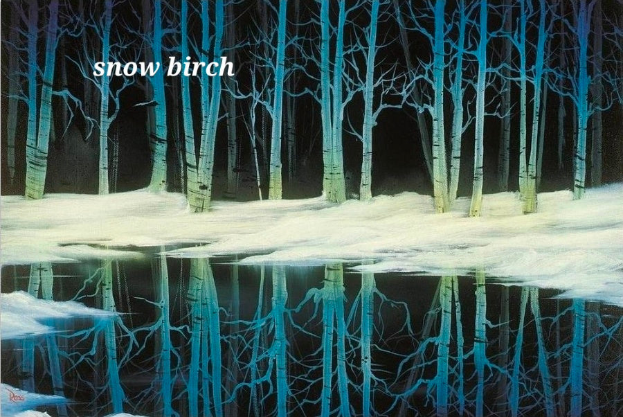 Snow Birch, Friday Nov 13th 6pm-9pm